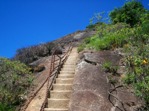 Trilha Pico da Tijuca 3