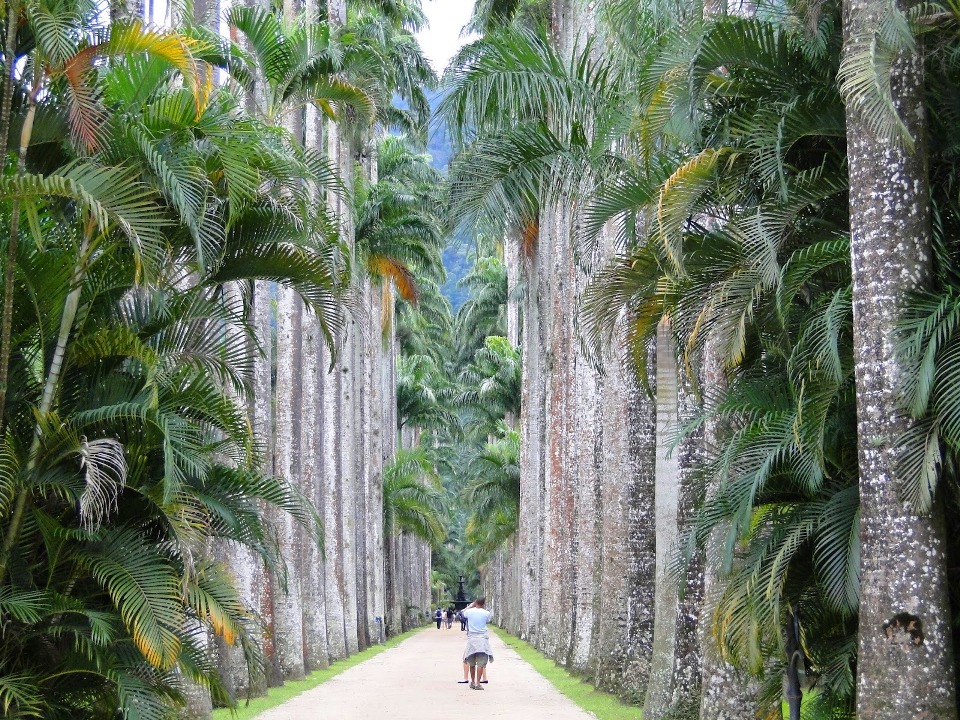 Pontos turísticos menos conhecidos no Rio de Janeiro